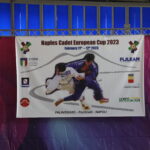 judo